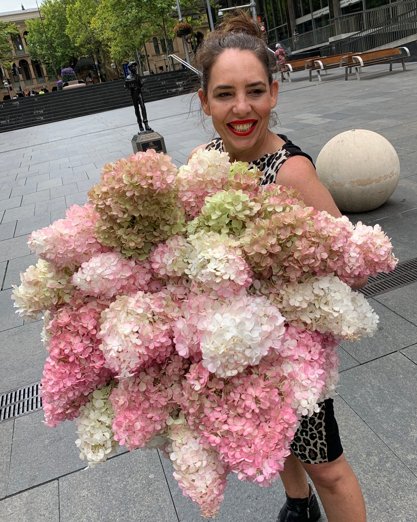 cone hydrangeas pink and white huge bunch